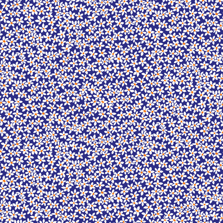 MINKY PRINTS             